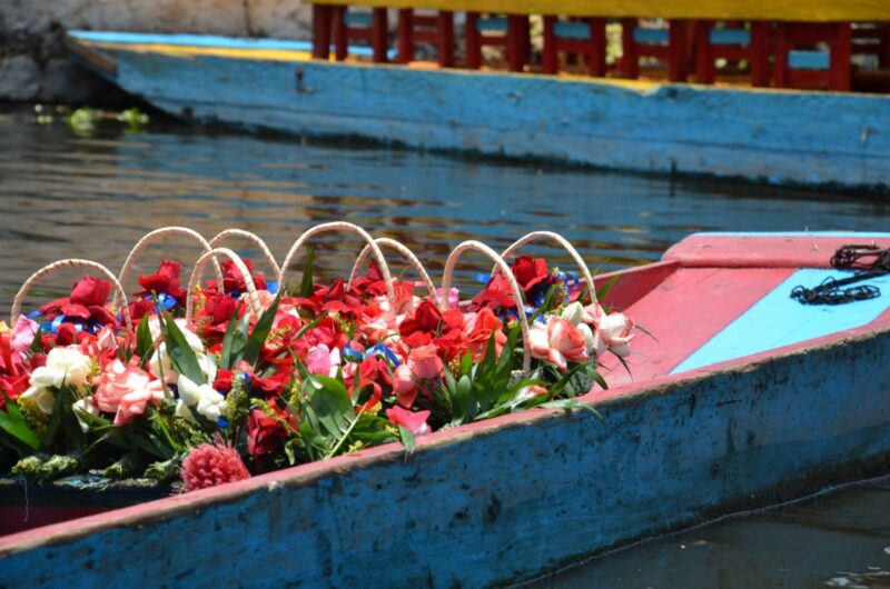 Mexico: Private Xochimilco and Colonial Coyoacan Trip - Important Information