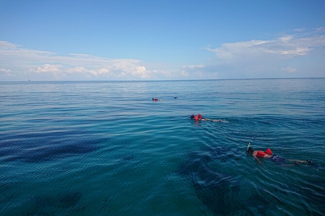 Mexico Rocks Day Sail Shared Guided Tour - Meeting Information