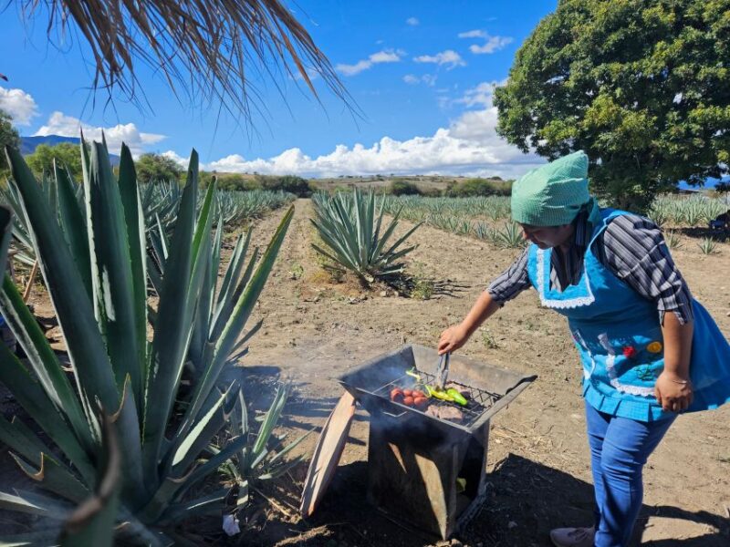 Mezcal Day Premium Family Distilleries Tour With Lunch - Inclusions
