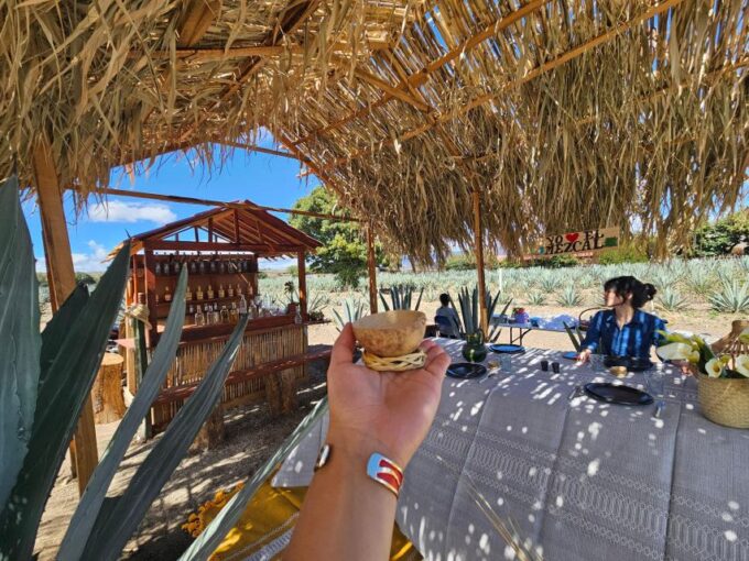 Mezcal Day Premium Family Distilleries Tour With Lunch - Frequently Asked Questions