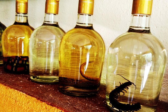 Mezcal Factory Tasting Learning Experience Drink Lunch and More - Customer Reviews