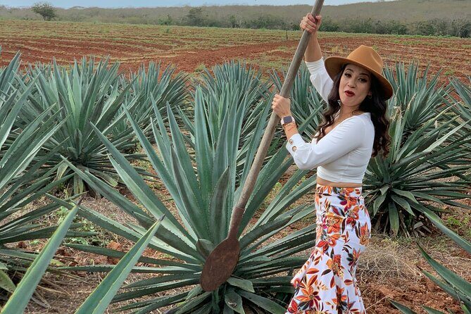 Mezcal Food Tasting Tour with Lunch Included - A Taste of Mazatlán’s Mezcal Heritage: The Food Tasting Tour