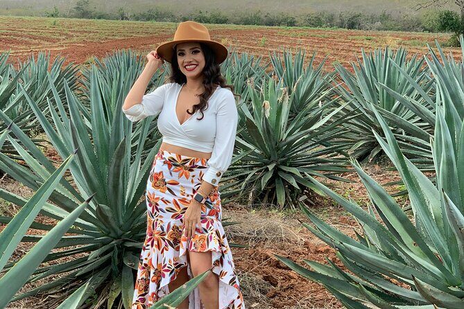 Mezcal Food Tasting Tour with Lunch Included - Key Points
