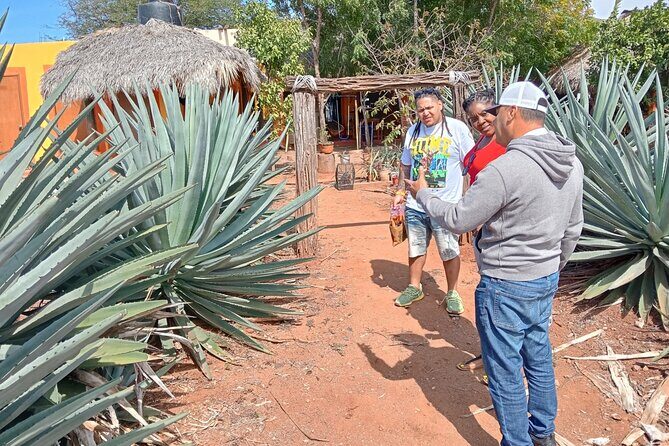 Mezcal Food Tasting Tour with Lunch Included - Why This Tour Is Worthconsidering