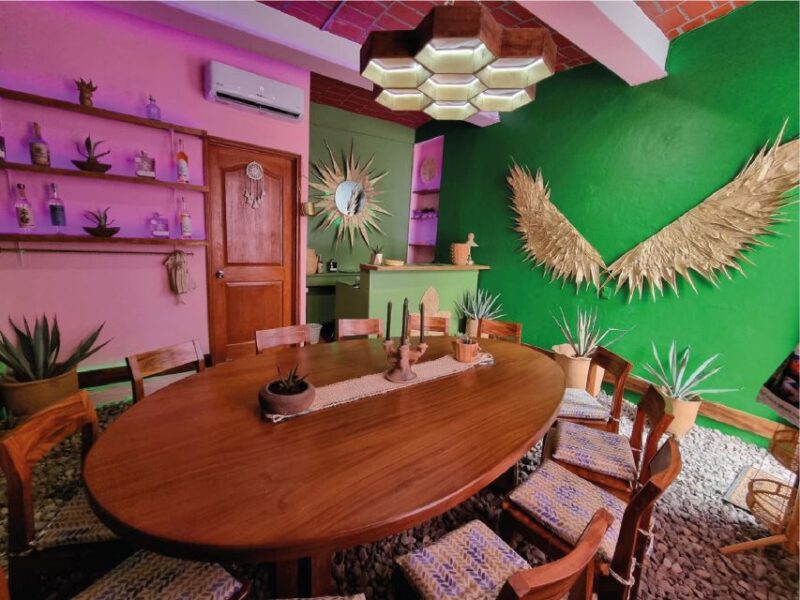 Mezcal Tasting at a Secret Location in the Heart of Oaxaca - Key Points