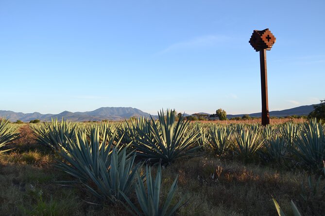 Mezcal, Tequila & Bajamed Foodie Tasting Tour - Tequila Varieties