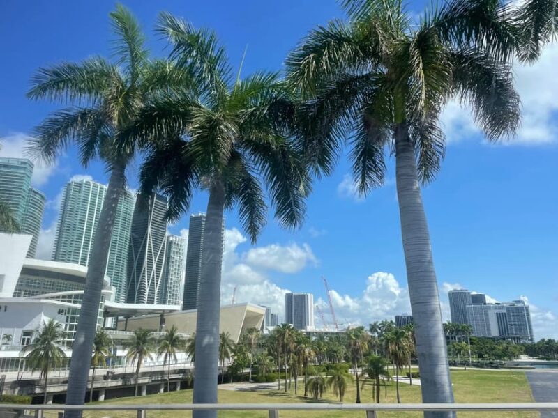 Miami: 2 Hours Private City Tour by Air-Conditioned Vehicle - South Beachs Iconic Beaches