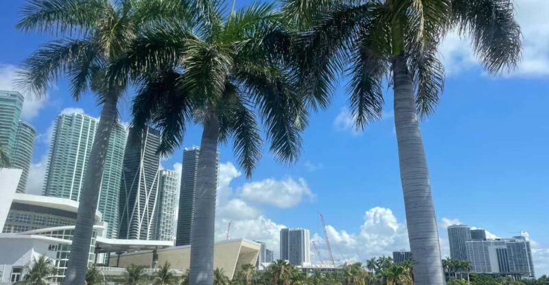 Miami: 2 Hours Private City Tour by Air-Conditioned Vehicle - Art Deco Historic District