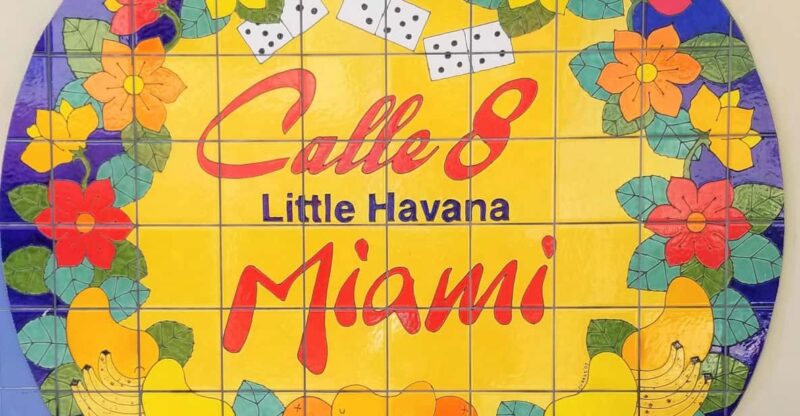 Miami and Miami Beach Private Sightseeing Tour - Key Points