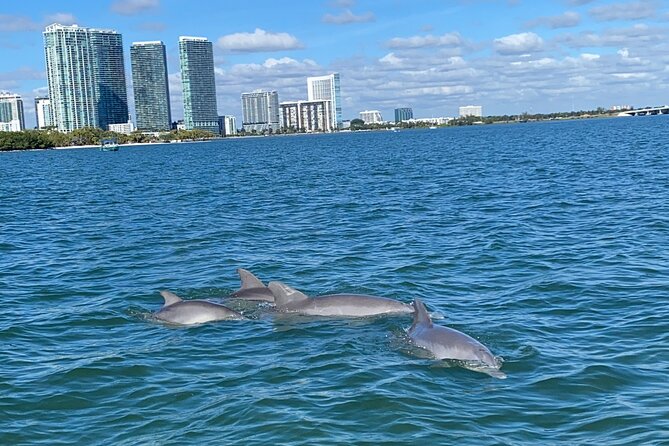 Miami: Aqua Excursion (Flyboard + Tubing + Boat Tour) - Scenic Boat Tour