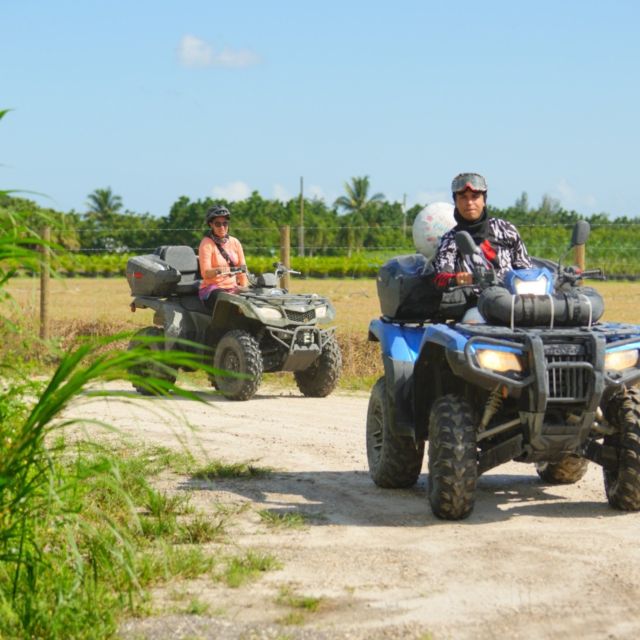 Miami: ATV Tour - Customer Feedback