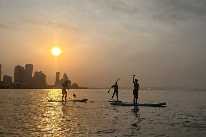Miami Beach Paddleboard Rental With Instruction - Children and Accessibility
