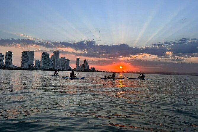 Miami Beach Paddleboard Rental With Instruction - Booking and Cancellation