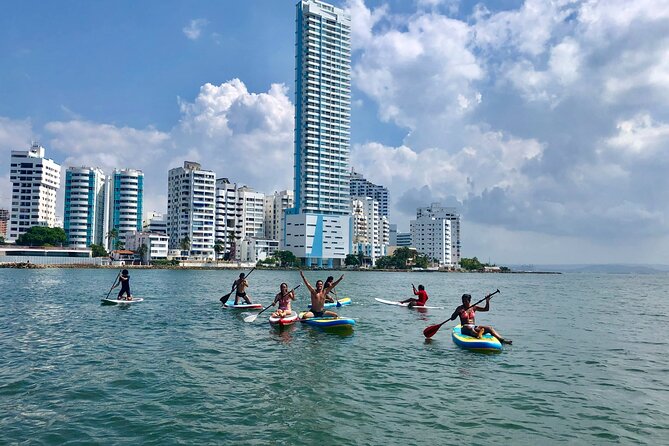 Miami Beach Paddleboard Rental With Instruction - Customer Reviews Highlight