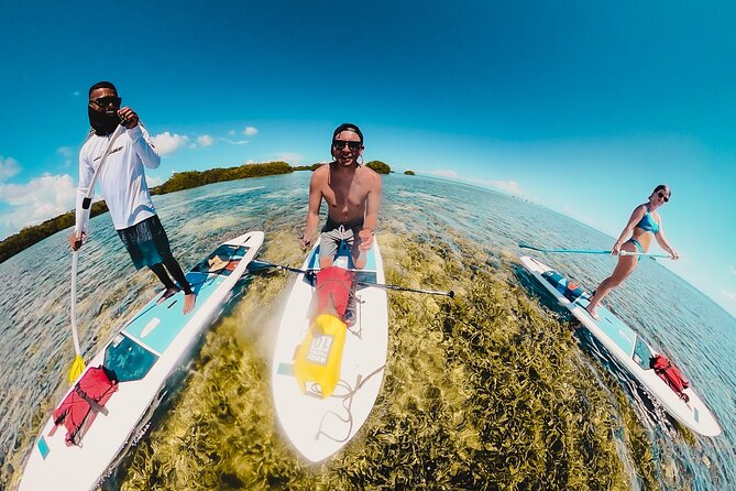 Miami Beach Paddleboard Rental With Instruction - Beginner-Friendly Instruction
