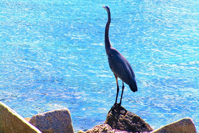 Miami Beach: South Point Park Tour - Booking Information