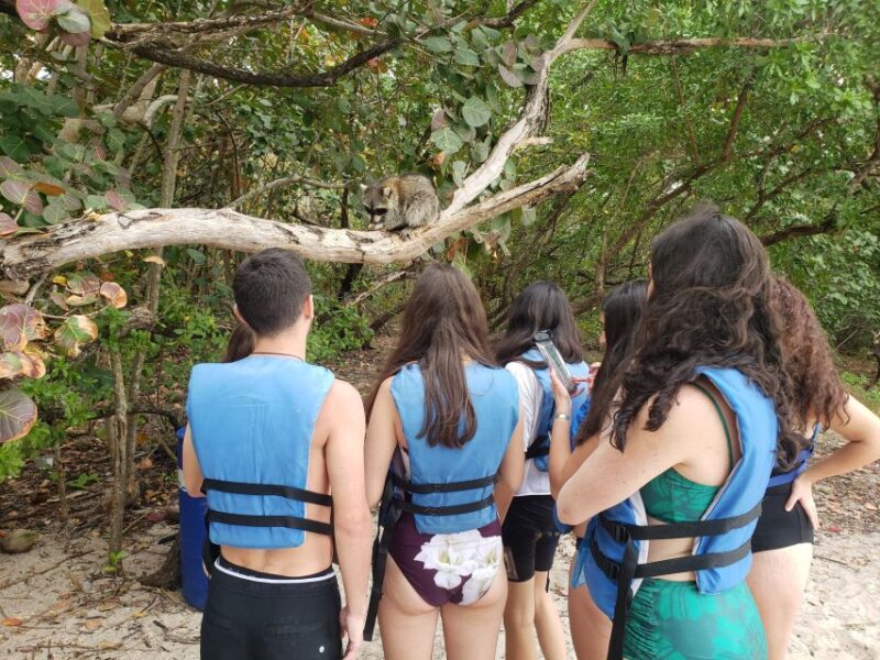 Miami: Beginner-Friendly Island Snorkeling by SUP or Kayak - Pricing and Inclusions