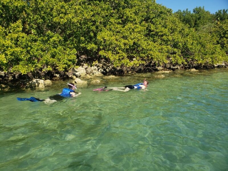 Miami: Beginner-Friendly Island Snorkeling by SUP or Kayak - Experience Highlights
