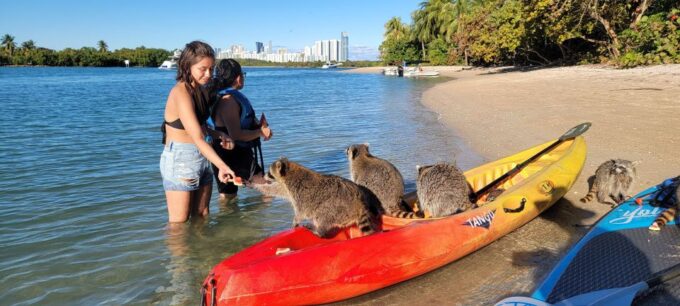 Miami: Beginner-Friendly Island Snorkeling by SUP or Kayak - Meeting Point and Support
