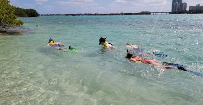 Miami: Beginner-Friendly Island Snorkeling by SUP or Kayak - Customer Reviews