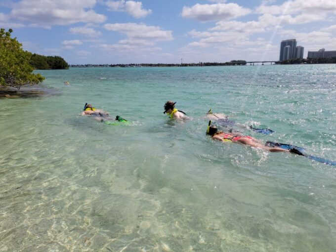 Miami: Beginner-Friendly Island Snorkeling by SUP or Kayak - Frequently Asked Questions