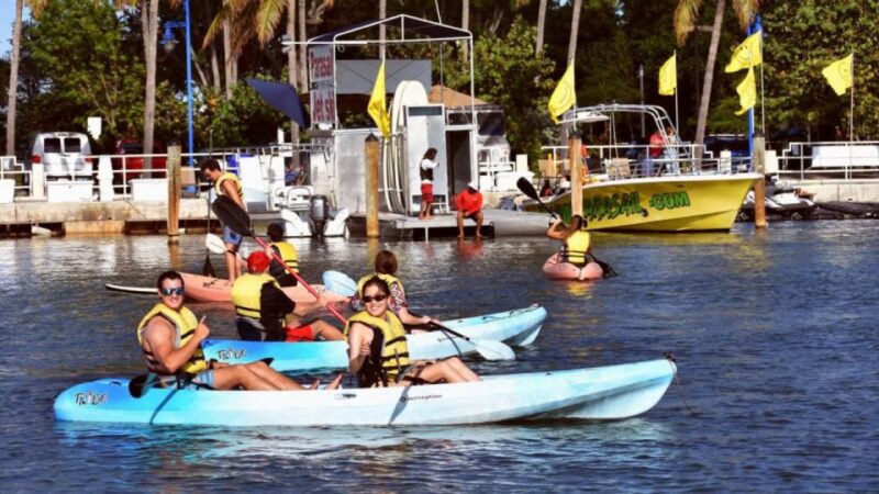 Miami: Biscayne Bay Kayak or Paddleboard Rental - Wildlife and Experience