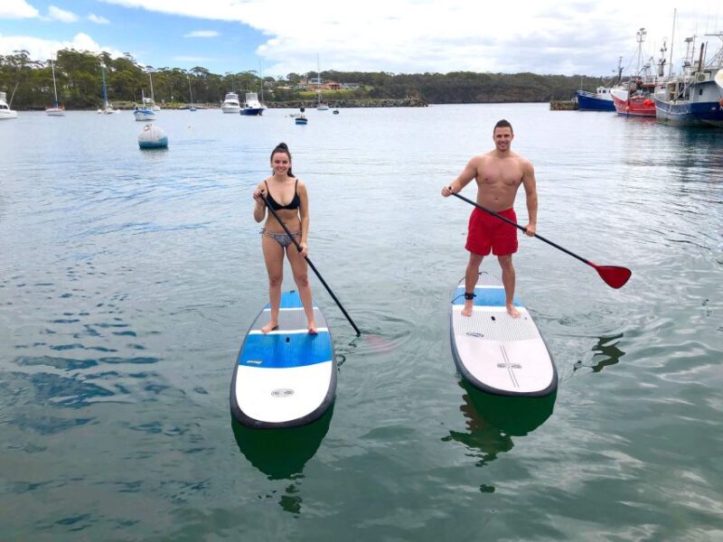 Miami: Biscayne Bay Kayak or Paddleboard Rental - Safety and Equipment