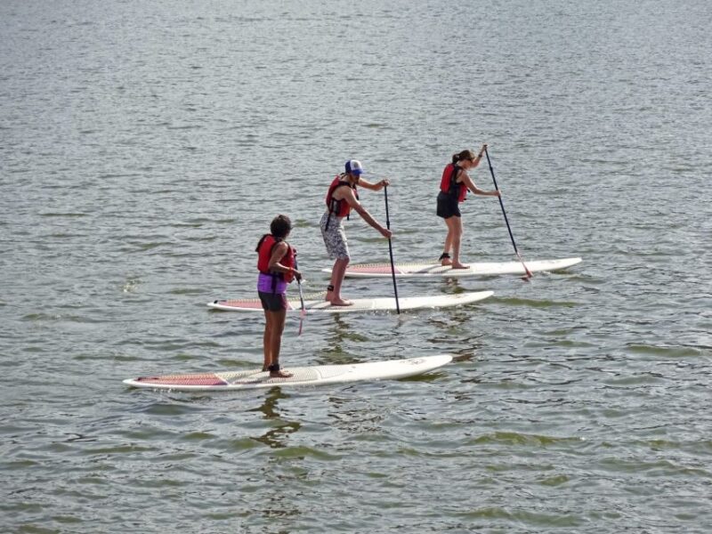 Miami: Biscayne Bay Kayak or Paddleboard Rental - What to Bring