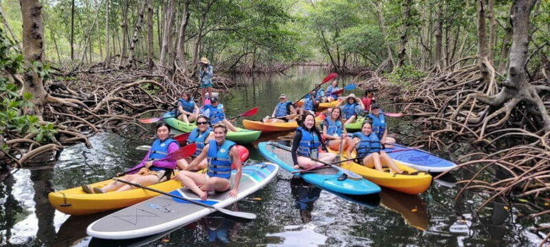Miami: Biscayne Bay Ultimate Boat Tour with Kayak Experience - The Sum Up: Who Is This Tour Best For?