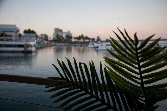 Miami Boat Tour of Celebrity Homes & Miami River Skyline 360 View - Alcoholic Beverages and Age Requirements