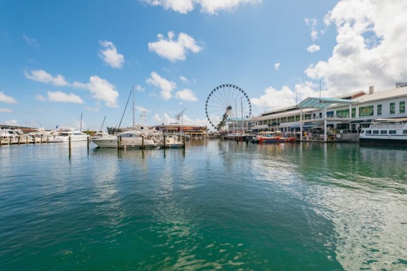 Miami Combo: Millionaires Row Cruise and Open-top Bus Tour - Key Points