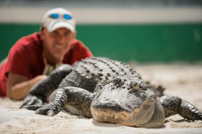 Miami: Everglades Adventure & Big Bus Hop-on Hop-off Tour - Flexible and Convenient Experience