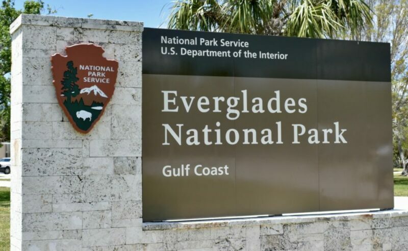 Miami: Everglades Airboat Ride and Tram Tour - Final Thoughts: Who Will Love This Tour?
