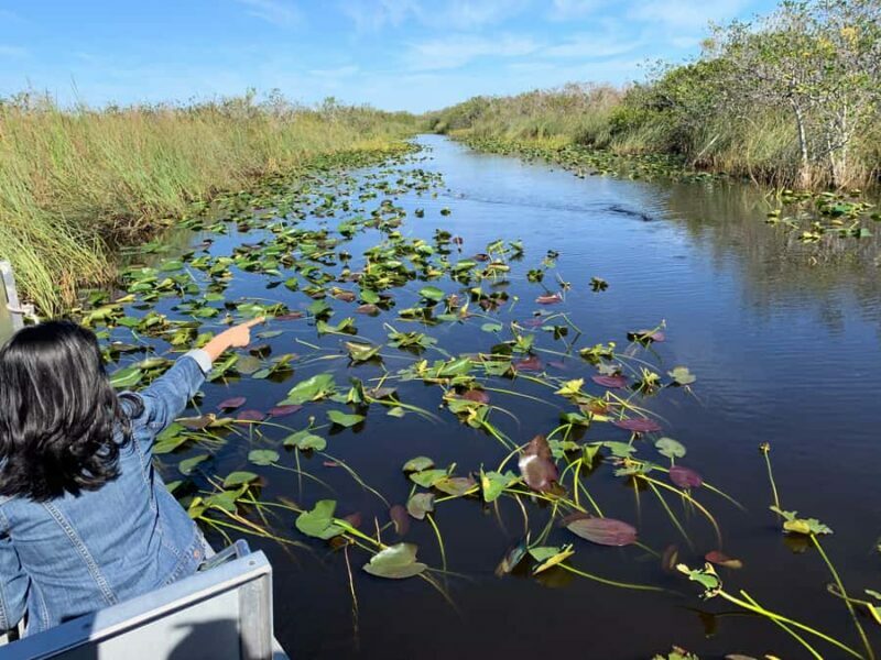 Miami: Everglades Airboat & Wildlife Experience - Authenticity and Value