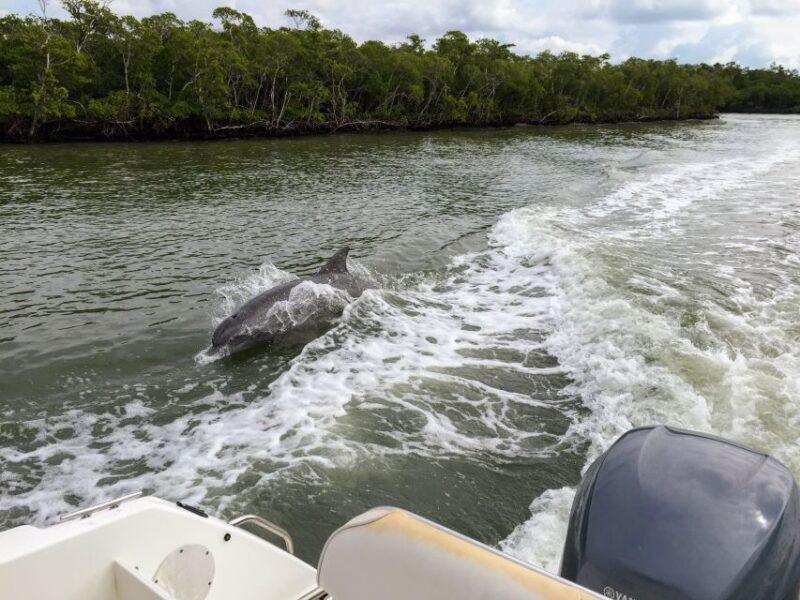 Miami: Everglades Full-Day Tour With 2 Boat Trips and Lunch - Experience Highlights