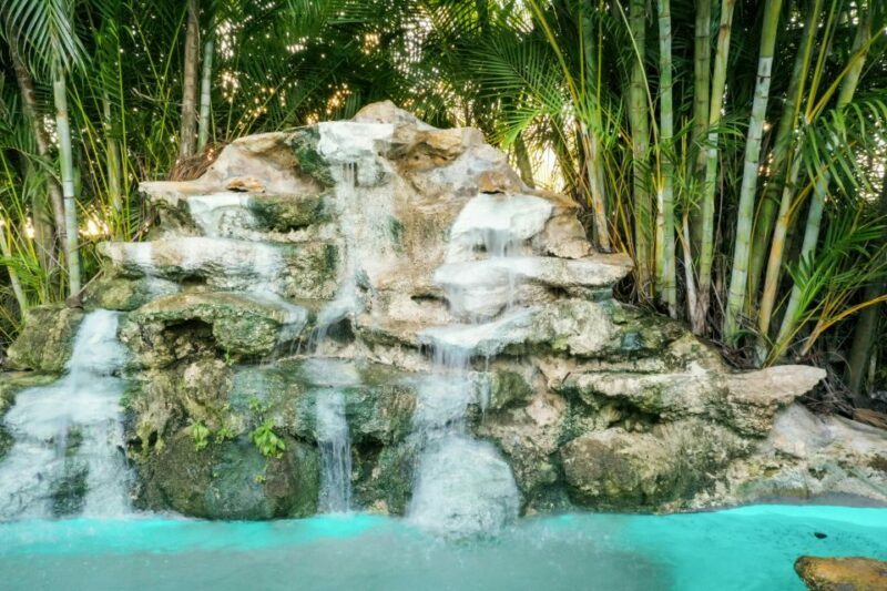 Miami: Everglades National Park Airboat Tour & Wildlife Show - Exploring the Experience in Detail
