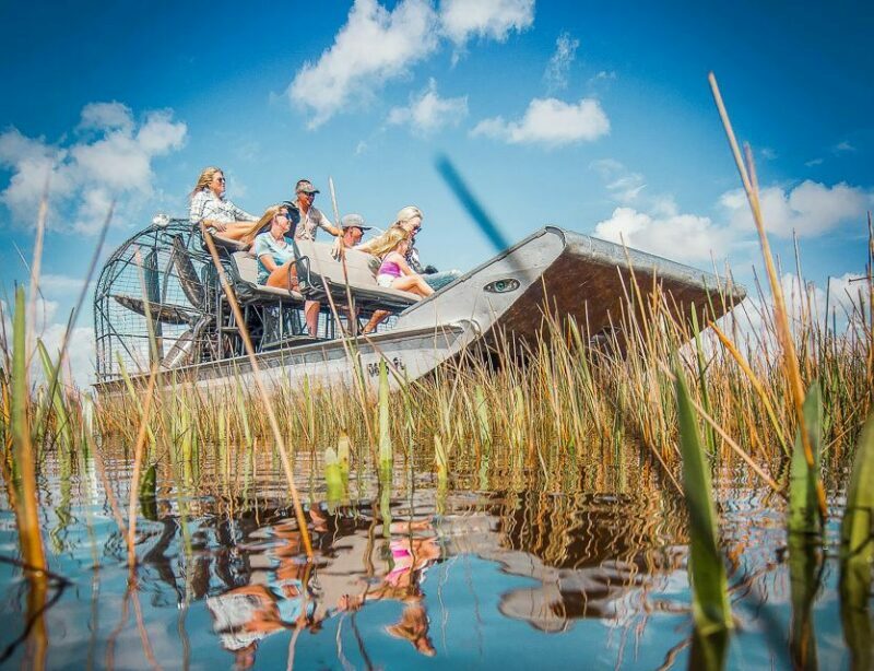 Miami: Everglades National Park Airboat Tour & Wildlife Show - The Sum Up