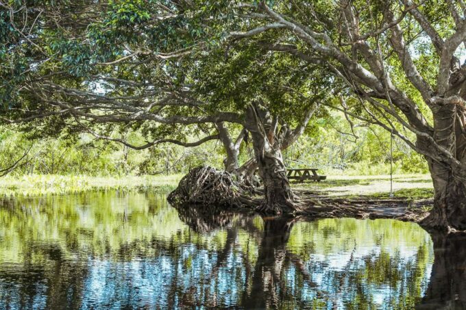 Miami: Everglades National Park Airboat Tour & Wildlife Show - Meeting Point Locations