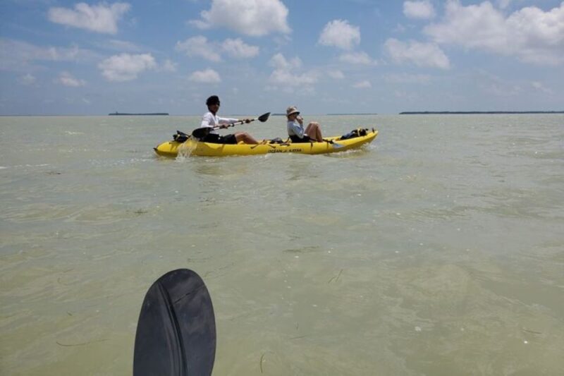 Miami: Everglades National Park Hiking and Kayaking Day Trip - Experience Highlights
