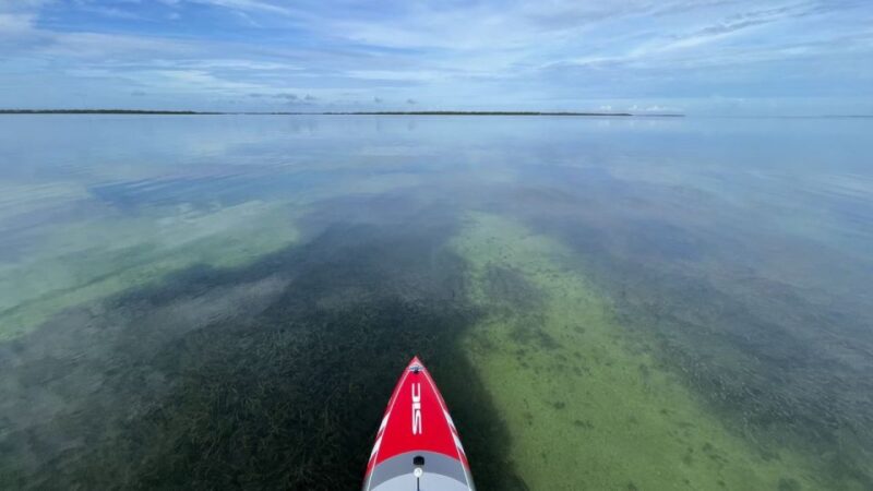 Miami: Everglades National Park Hiking and Kayaking Day Trip - Customer Reviews