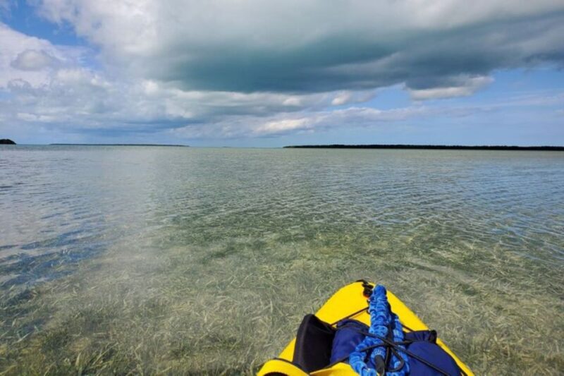 Miami: Everglades National Park Hiking and Kayaking Day Trip - Kayaking Winding Waterways