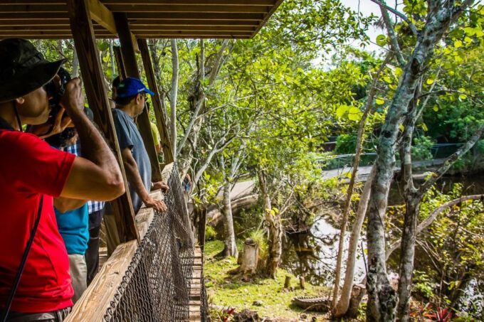 Miami: Everglades Safari Park Airboat Tour - Important Information