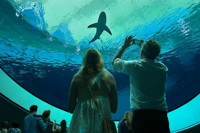 Miami: Frost Museum of Science and Planetarium Entry Ticket - FAQ