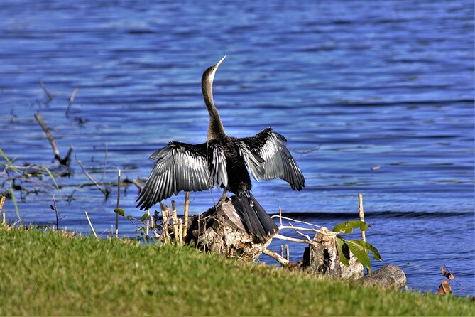 Miami Full Day Self-Guided Sightseeing Tour W/ Cruise and Everglades Airboat - Double Decker Bus Tour