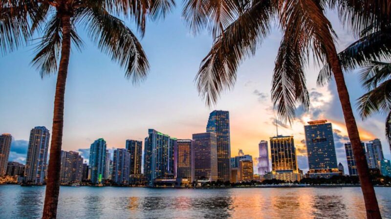 Miami: Guided Tour With Transfer From Cruise Port to Airport - Customer Feedback