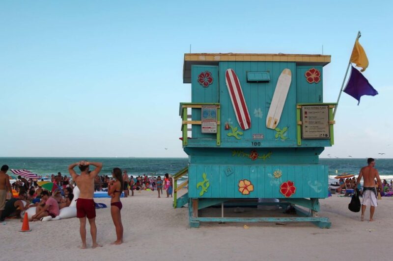 Miami: Half-Day City Tour Highlights - Languages and Group Size