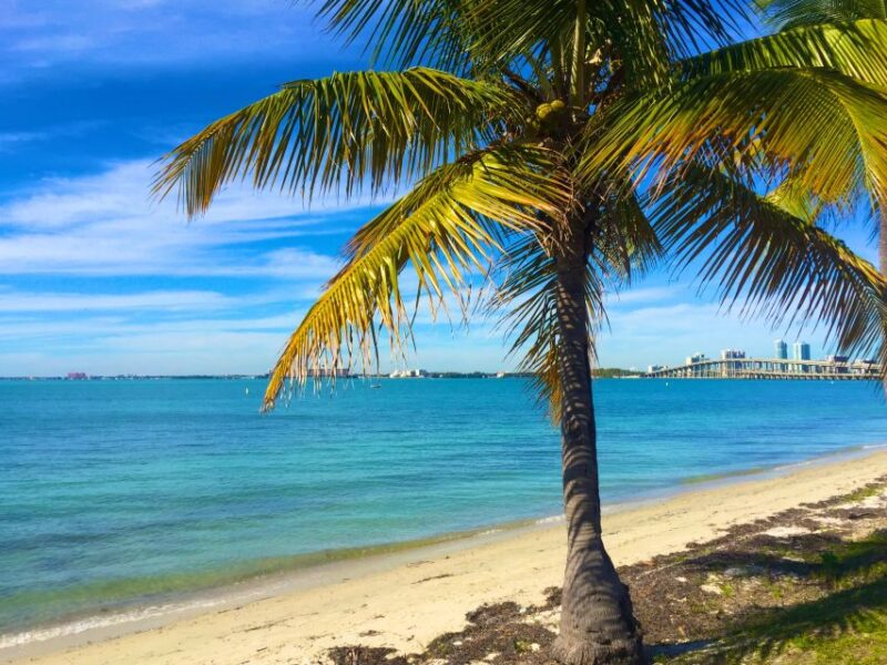 Miami: Hobie Cat Sailing - Inclusions