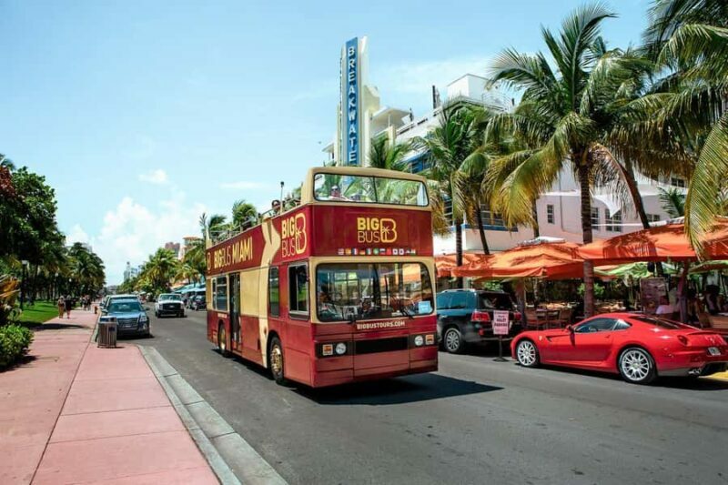 Miami: Hop-on Hop-off Open-top Bus Tour with Optional Cruise - Final Thoughts