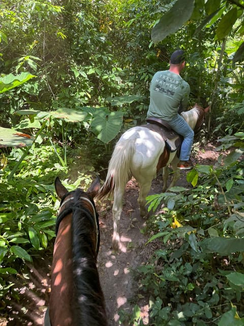 Miami: Horseback Riding in South Beach - Horse Welfare Prioritized