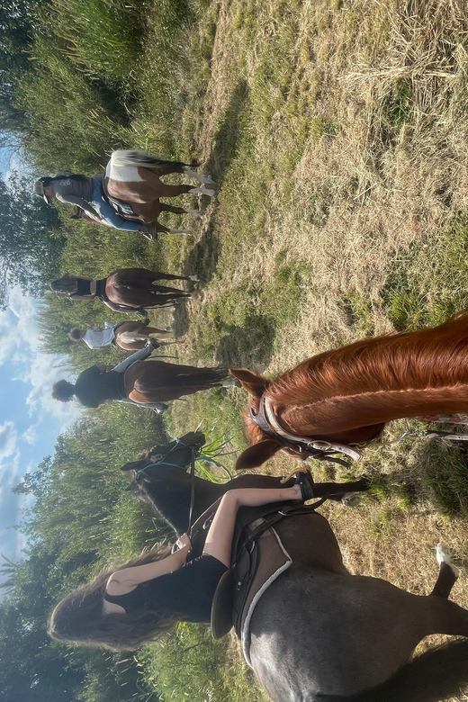 Miami: Horseback Riding - Guided Ride Details